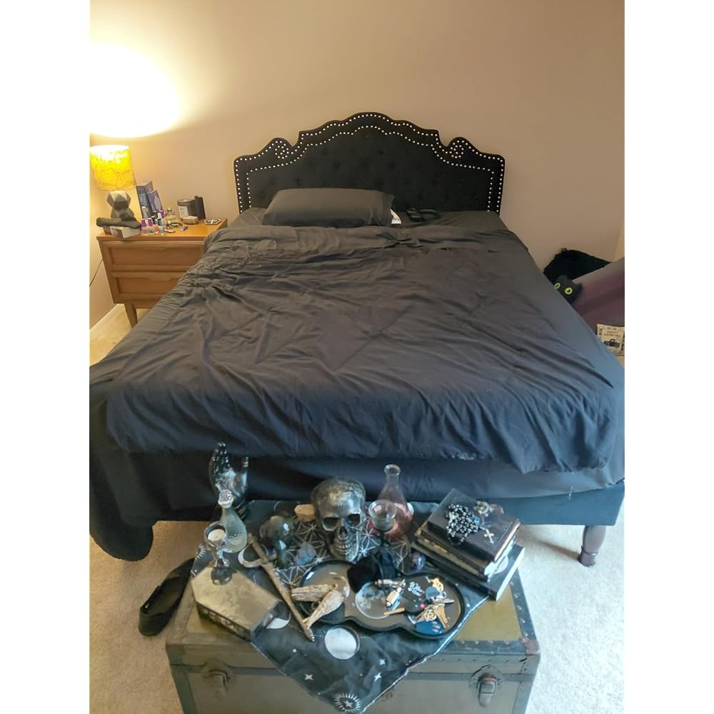 SHA CERLIN Queen Bed Frame with Adjustable Headboard/Velvet Upholstered/Diamond Button Tufted and Metal Studs/No Box Spring Needed/Wood Slat Support/Easy Assembly/Black